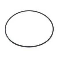 Уплотнительное кольцо корпуса JET