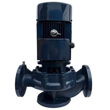 Циркуляционный насос MAXPUMP IL 65-310/30