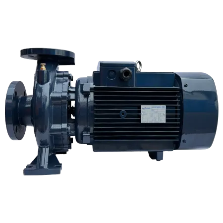 Циркуляционный насос MAXPUMP F 50-160/55