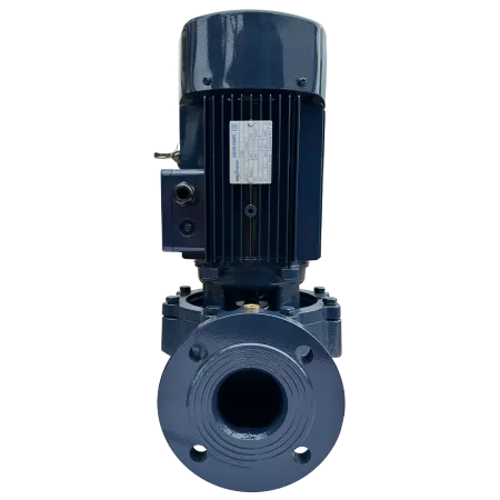 Циркуляционный насос MAXPUMP IL 50-250/15