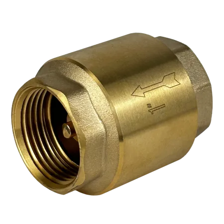 Обратный клапан MAXPUMP 1"