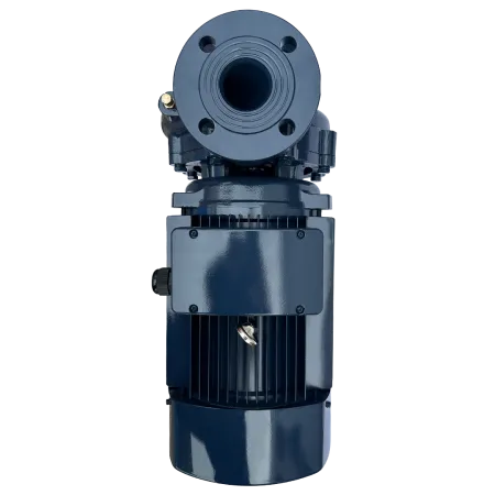 Циркуляционный насос MAXPUMP F 32-200/55